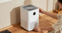 11 Best Low Noise Dehumidifiers for Home in 2026