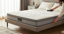 12 Best Adjustable Beds for Higher Weight Capacity in 2026