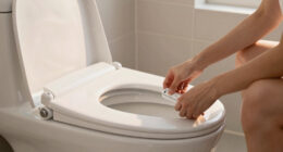 13 Best Bidet Seats for Renters in 2026