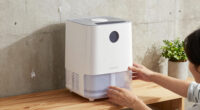 14 Best Dehumidifiers for Mold Prevention in 2026