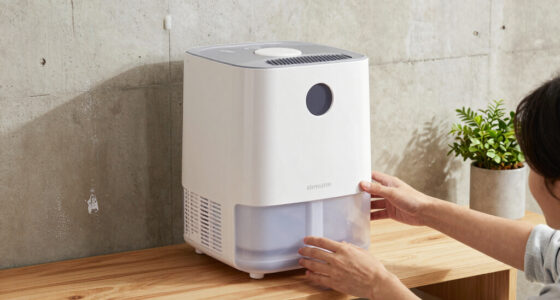 14 Best Dehumidifiers for Mold Prevention in 2026