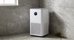 basement dehumidifier essentials overview