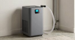 basement dehumidifier simple guide