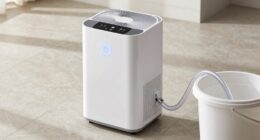 effective dehumidifier drainage options