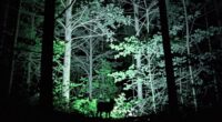 hidden details of night vision