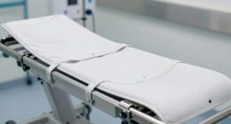 patient lift sling features