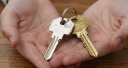 property ownership and release