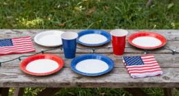14 Best Patriotic Outdoor Party Supplies in 2026