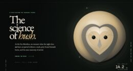 The Owlery — Institute for Silent Flight (FABLE/175)